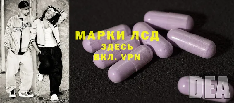 где купить наркоту  Электрогорск  ЛСД экстази ecstasy 